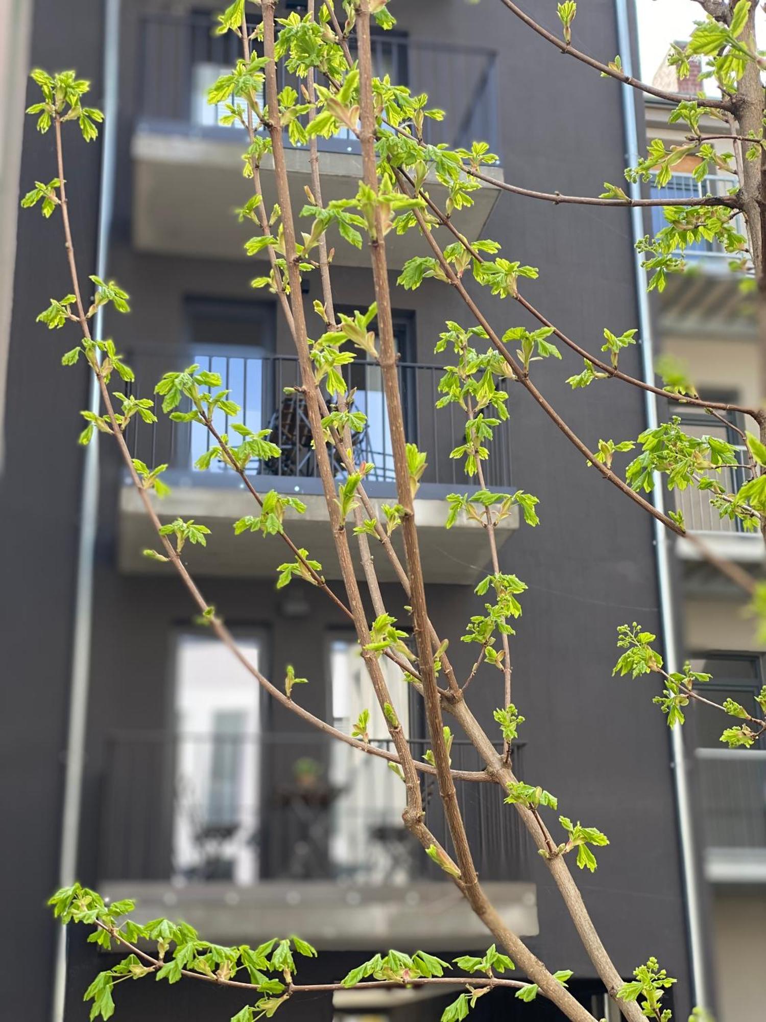 Eiwelhome - Stilvoll, Urban-ruhig Schlafen, Bahnhofsnah, Balkon Lejlighed Erfurt