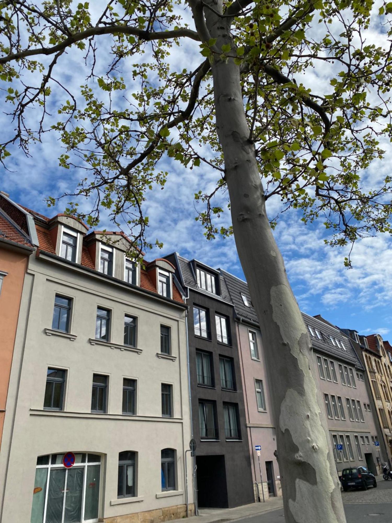 Eiwelhome - Stilvoll, Urban-ruhig Schlafen, Bahnhofsnah, Balkon Erfurt